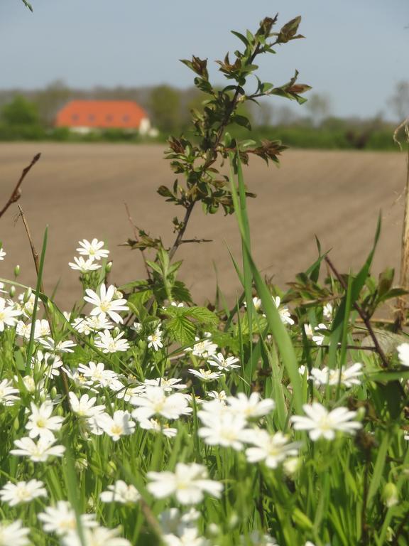 Land & Meer Hasselberg  ภายนอก รูปภาพ